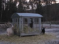Gnadenhof Dahn 024